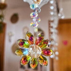 attrape soleil fleur multicolore